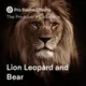 Lion Leopard and Bear