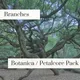 Branches