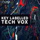 Key Labelled Tech Vox