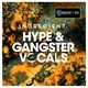 HYPE & GANGSTER VOCALS