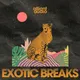Exotic Breaks