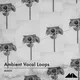 Ambient Vocal Loops