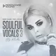 Soulful Vocals 3 by Kasha