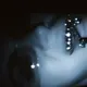 BELLADONNA | TRACKLIB.COM