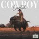 COWBOY CARTEL Synths Choirs Dark Keys
