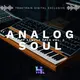 Analog Soul Trap Sample Pack Vol. 2
