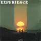 Experience