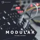 Modular Future Techno