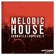 Melodic House Loops Vol 2