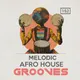 Melodic Afro House Grooves